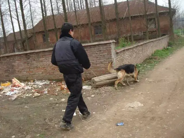 哪里有适合初学者的篮球训练管理指南_2